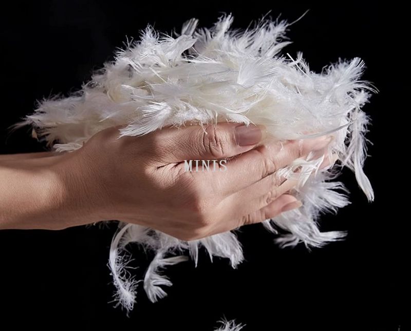 微信图片_2025-10-14_185151_494